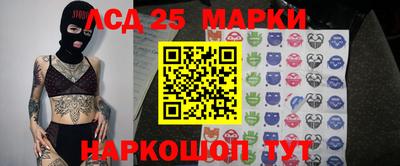 гидра Будённовск